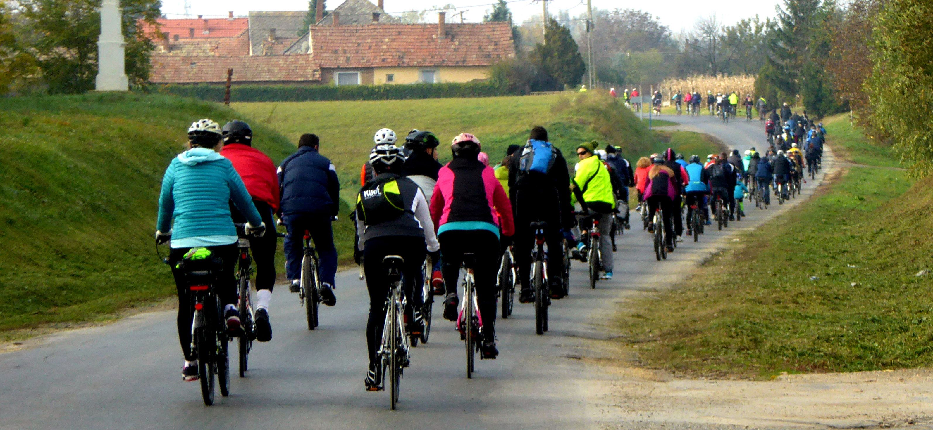 Mobirise